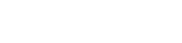 Center for News, Technology & Innovation logo